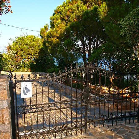 סודה Panoramic Seaview Holiday House מראה חיצוני תמונה